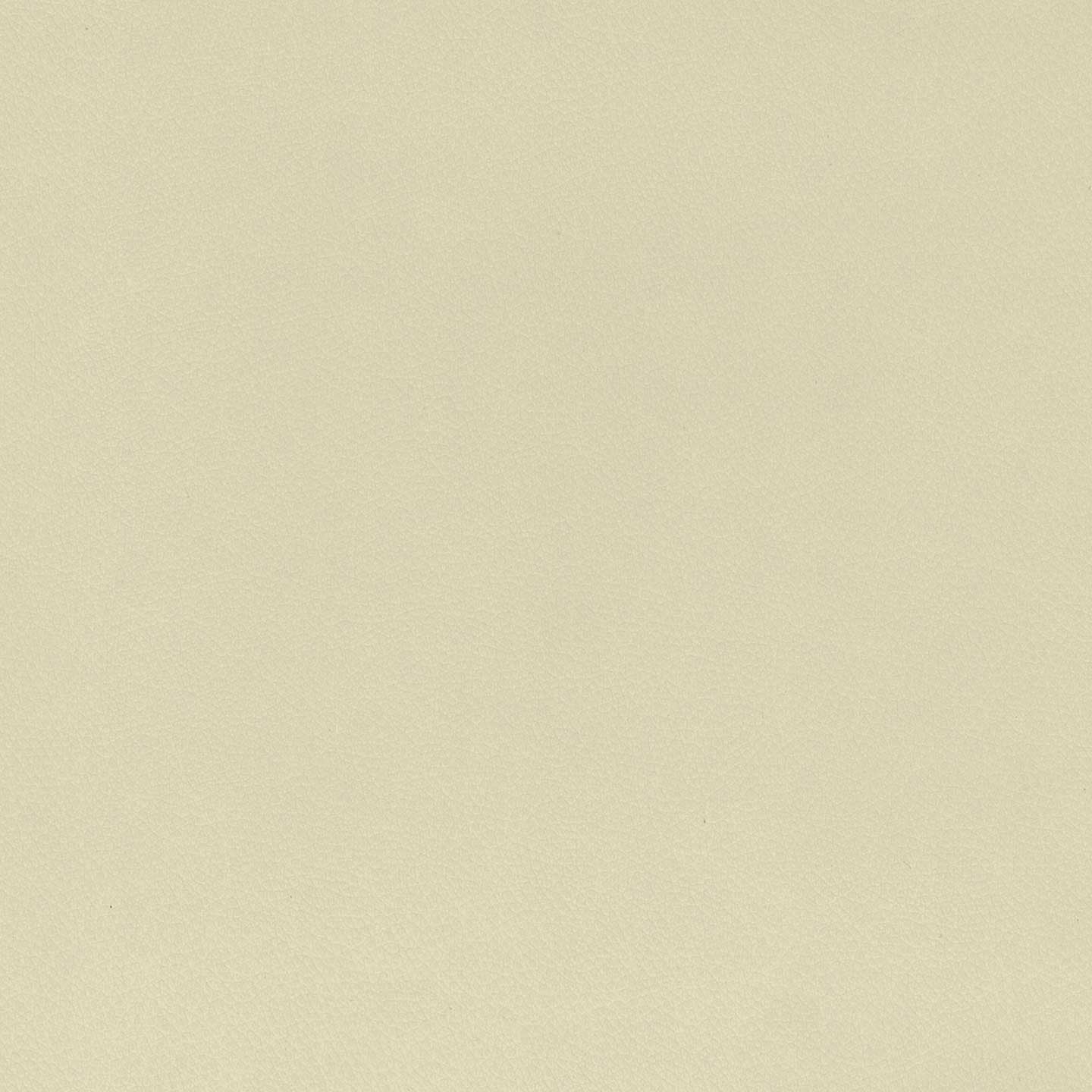Clizia Lit de design avec coffre de rangement en simili-cuir imperméable T04 crème - Image 9