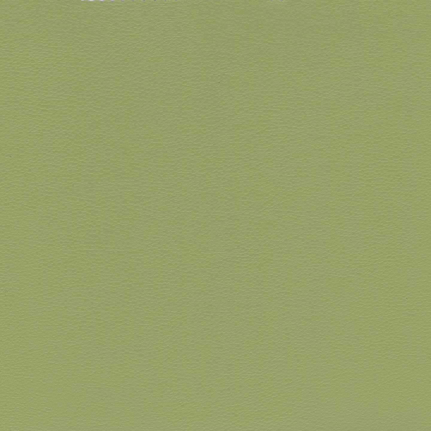 Clizia Lit de design avec coffre de rangement en simili-cuir imperméable T04 vert - Image 8