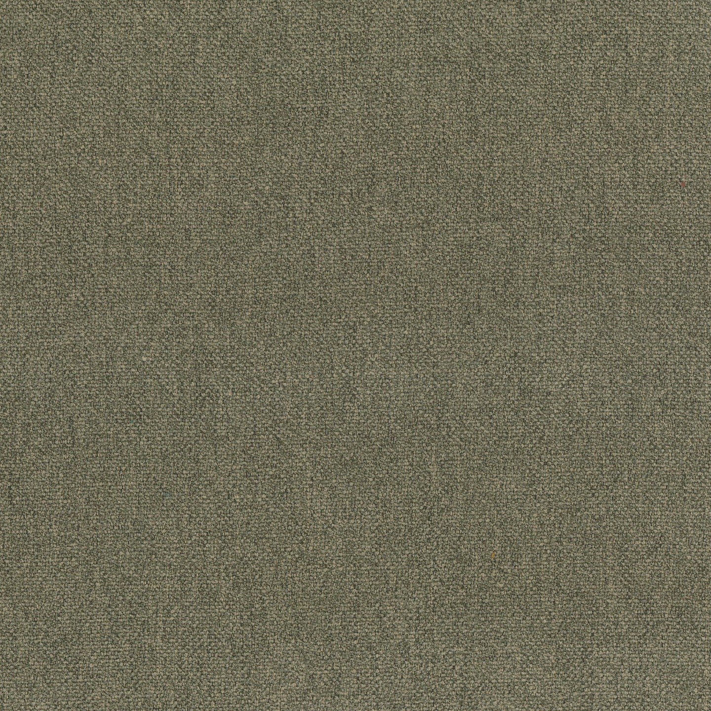Personalizzazione in T25 - Image 4