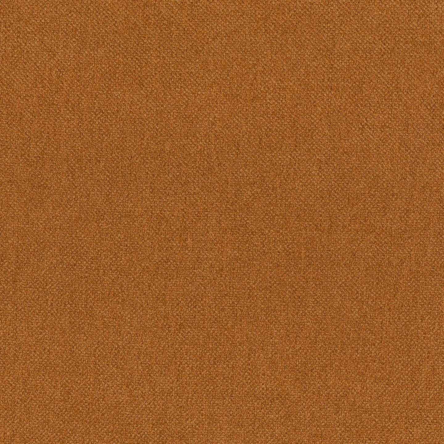 Personalizzazione in T25 - Image 6