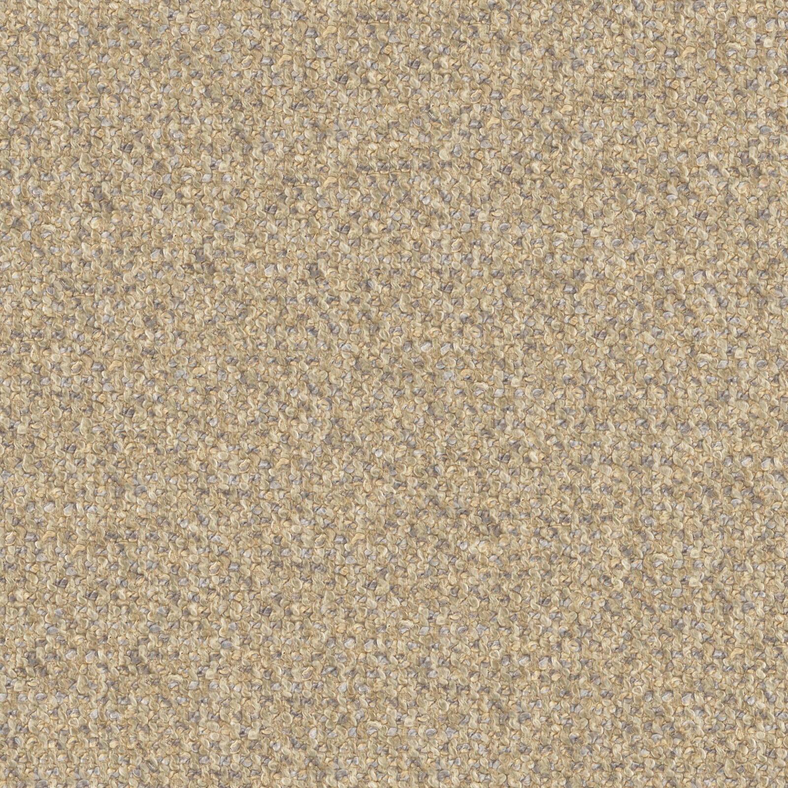 Sonic Coussin disponible en différentes couleurs en précieuse bouclette détachable T12 beige - Image 2