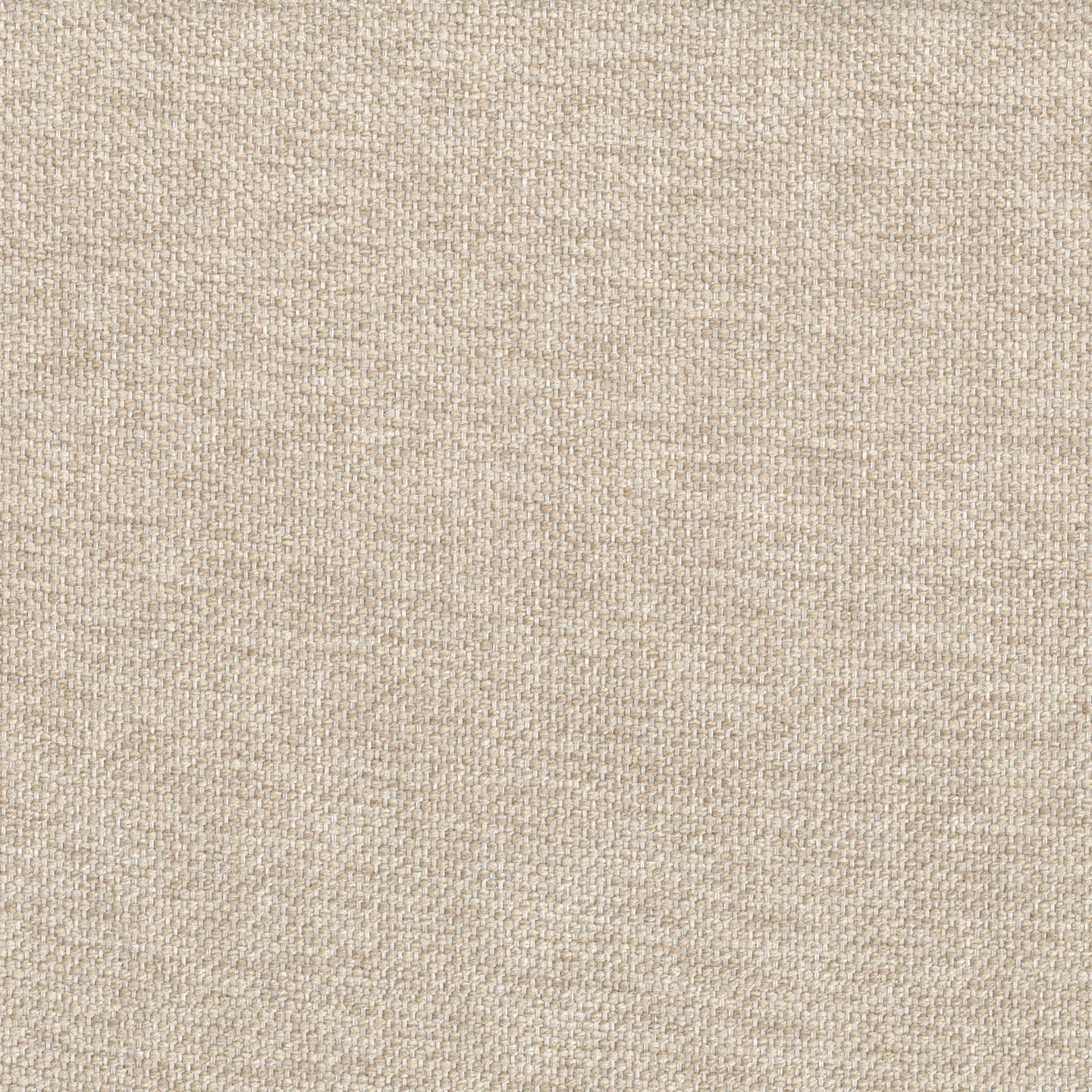 Coussin Tauro disponible en plusieurs couleurs, en tissu mélangé coton détachable T18 crème - Image 2