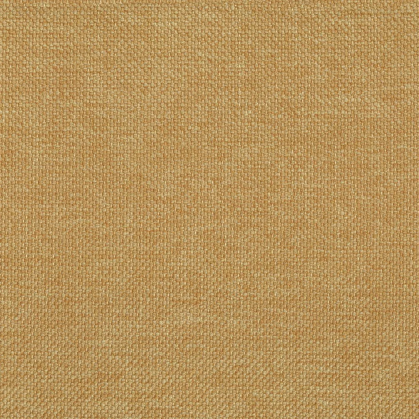 Coussin Tauro disponible en plusieurs couleurs, en tissu mélangé coton détachable T18 jaune - Image 2