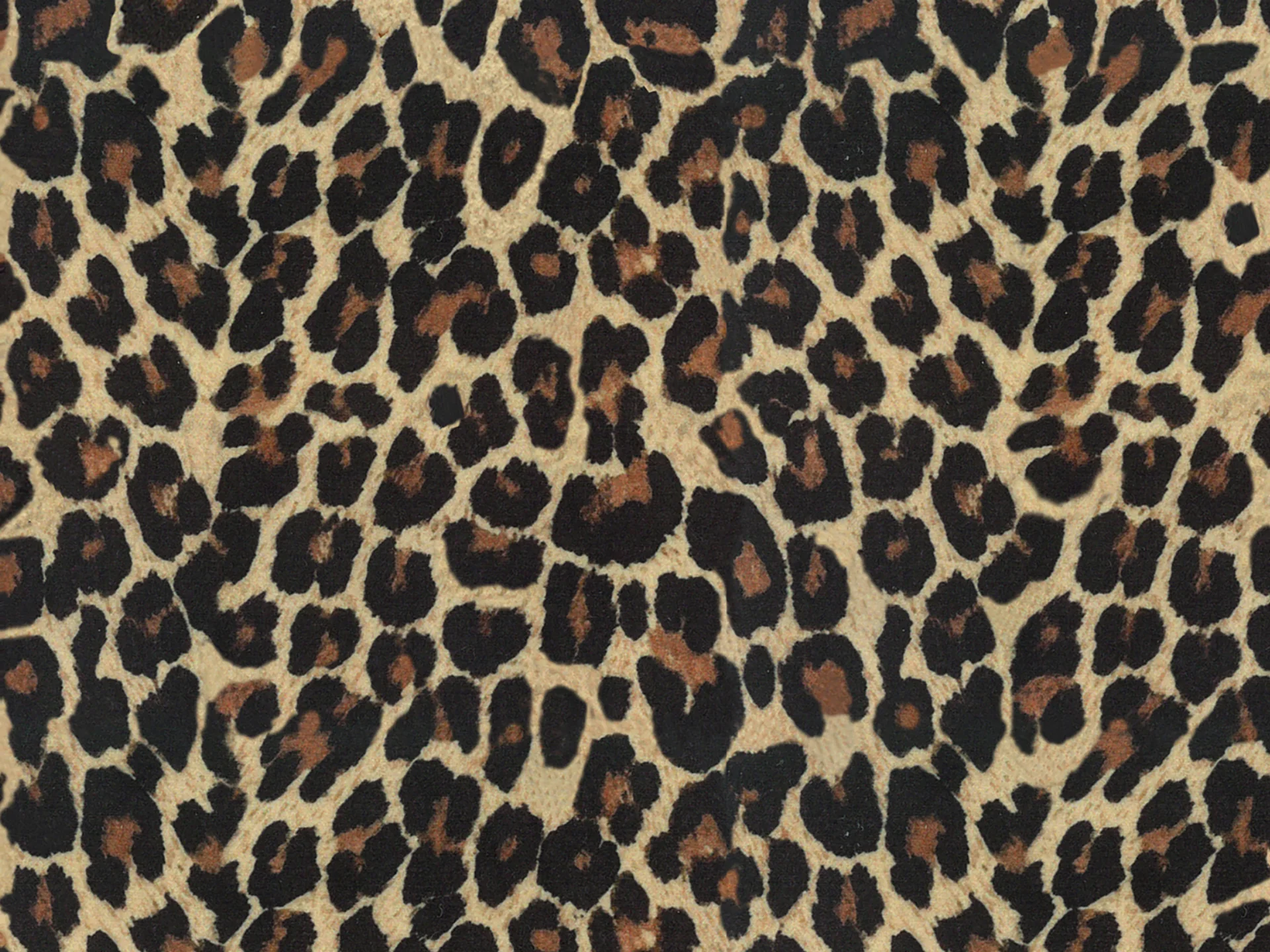 Wild coussins collection WILD en microfibre imperméable guépard - Image 2