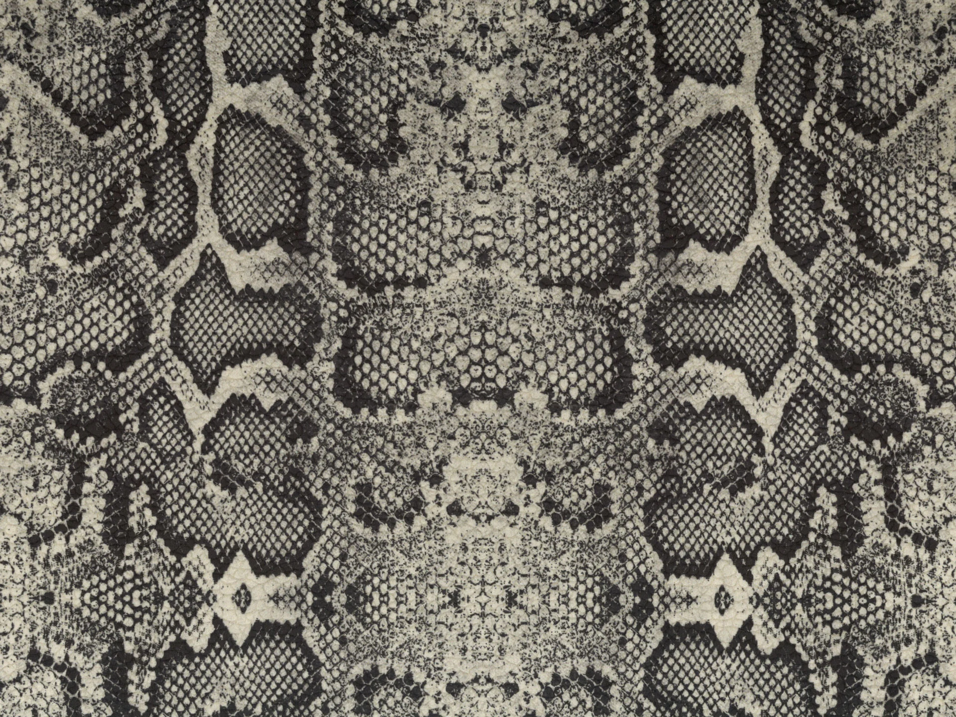 Wild coussins collection WILD en microfibre imperméable serpent gris foncé - Image 2