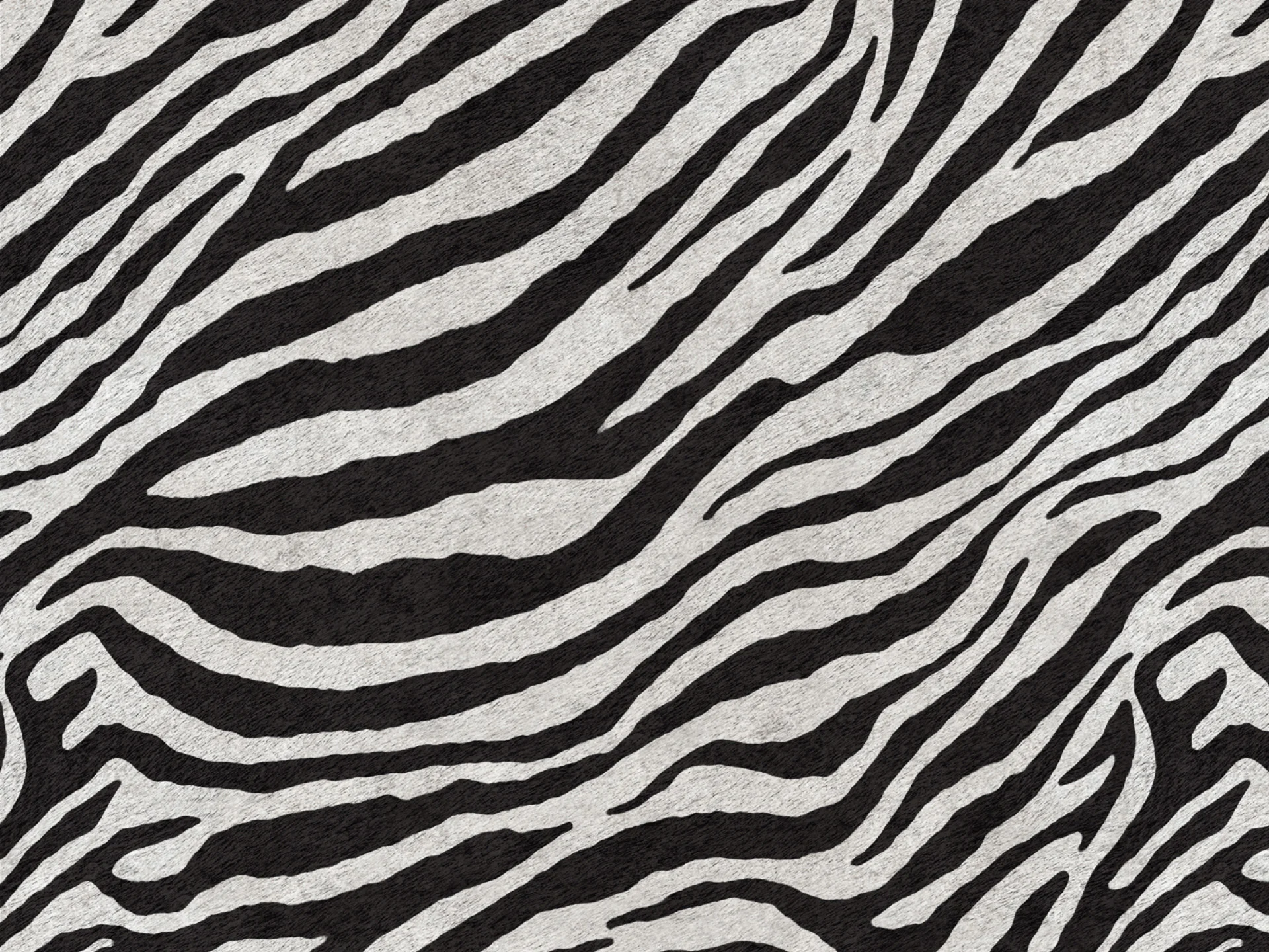 Wild coussins collection WILD en microfibre imperméable zèbre - Image 2